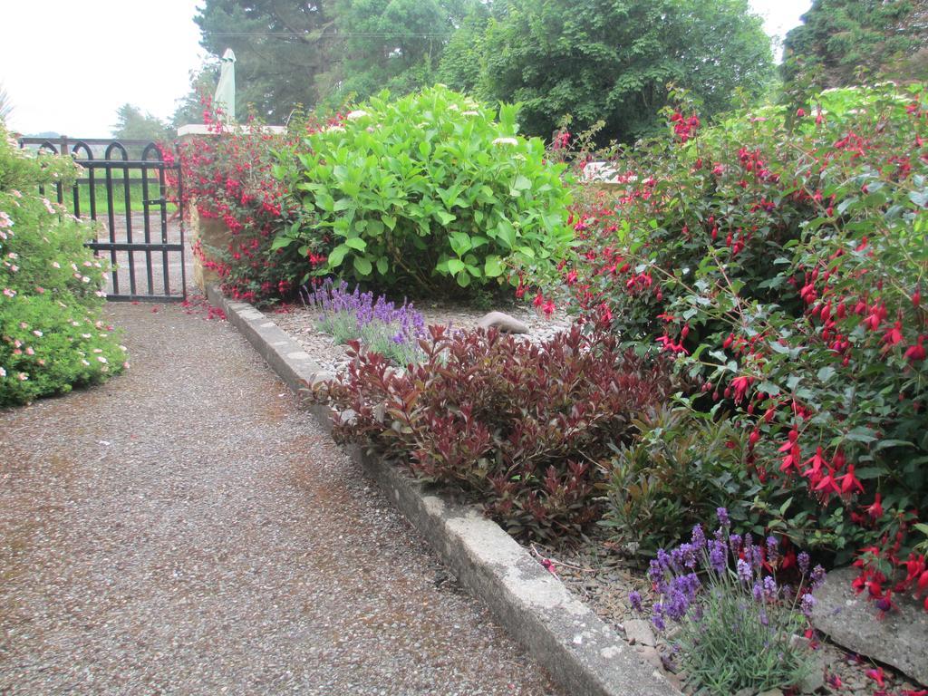 Tralia Farmhouse Self Catering Farranfore Oda fotoğraf